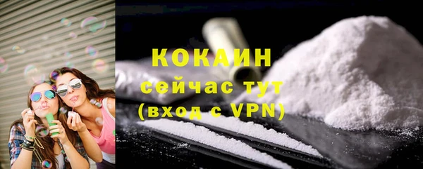 PSILOCYBIN Переславль-Залесский