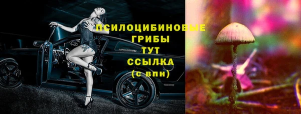 бошки Пересвет