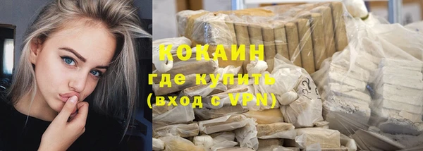 бошки Пересвет