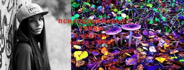 PSILOCYBIN Пестово
