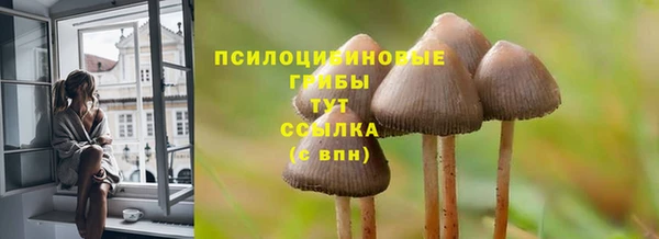 бошки Пересвет