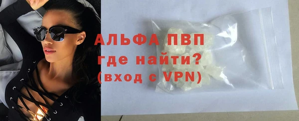 бошки Пересвет