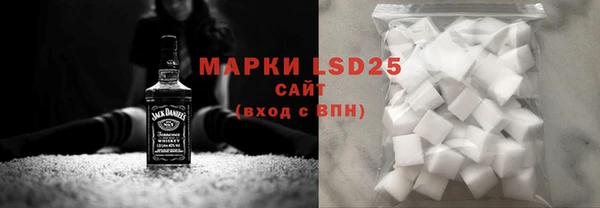 PSILOCYBIN Пестово