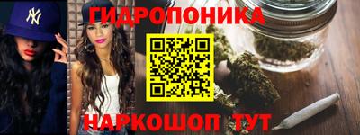 mix Бийск
