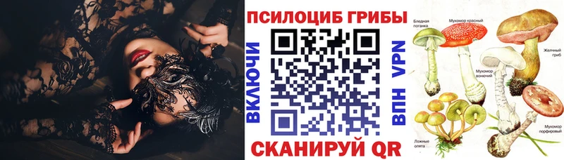KRAKEN вход  где купить наркоту  Волгодонск  Псилоцибиновые грибы ЛСД 