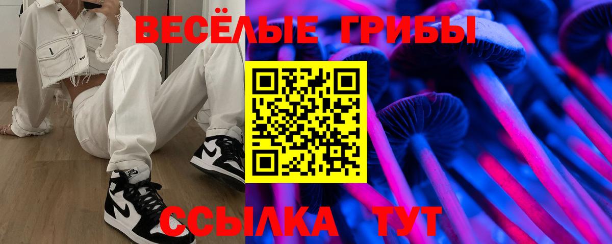 Галлюциногенные грибы прущие грибы  Волгодонск  Галлюциногенные грибы прущие грибы 